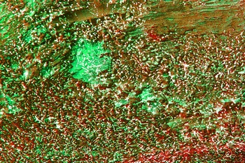 AP 145B1